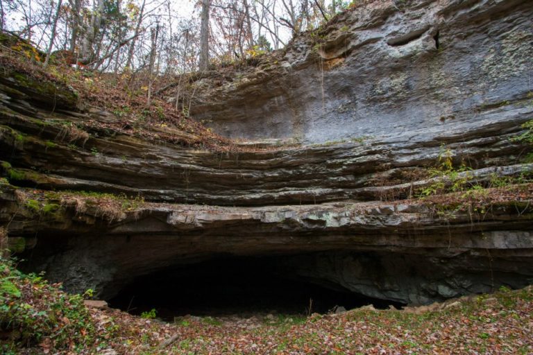 Lonestar Preserve | The Louisville Grotto